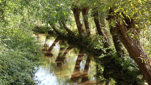 Ölbachaue Fluss Ölbachaue Fluss