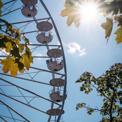 Verler Leben 2025 Verler Leben 2025