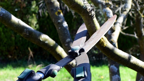 Gartenschere Gartenschere