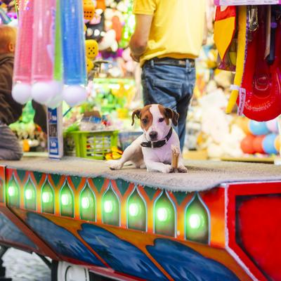 Verler Leben 2025 Verler Leben 2025