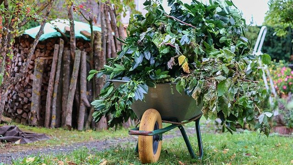 Schubkarre mit Gartenabfällen Schubkarre mit Gartenabfällen